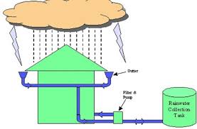 Beginner’s Guide to Rainwater Harvesting: Easy Ways to Start at Home
