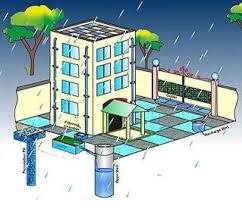 Building Sustainable Homes: Rainwater Harvesting Solutions for Modern Households