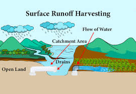 Every Drop Counts: Rainwater Harvesting in the Zero Waste Movement
