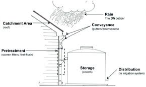 From Gutters to Gadgets: Essential Devices for Efficient Rainwater Harvesting