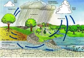From Rain to Resource: Enhancing Water Conservation through Rainwater Harvesting