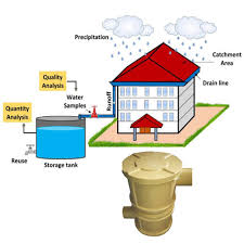 From Rooftops to Reservoirs: Home-Based Rainwater Harvesting Techniques