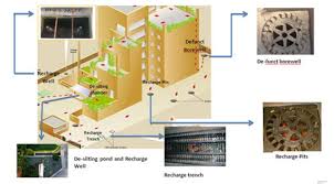 Harnessing the Rain: Techniques & Benefits of Rainwater Harvesting