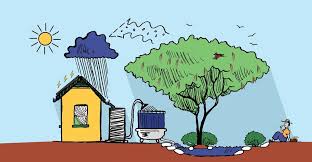 How Rainwater Harvesting Boosts Water Conservation Efforts in India