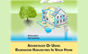 How Rainwater Harvesting Supports a Zero Waste Lifestyle: Simple & Practical Steps
