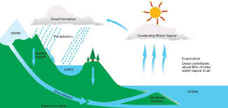 Rainwater Harvesting as a Renewable Resource: Eco-Friendly Solutions for Water Security