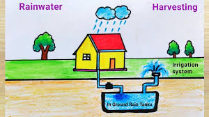 Rainwater Harvesting: Benefits, Methods & Importance for a Sustainable Future.