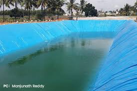 Rainwater Harvesting & Groundwater Level Updates: 2025 India Report