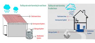 Rainwater Harvesting: Home & Building Solutions for Sustainable Living in 2025