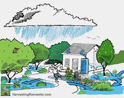 Rainwater Harvesting & Renewable Resources: A Green Strategy to Combat Water Scarcity