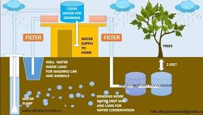  Rainwater Harvesting: The Smartest Way to Conserve Water Naturally