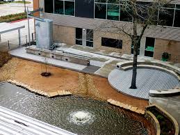 Rainwater Literacy: Community Programs Building Water Conservation Awareness