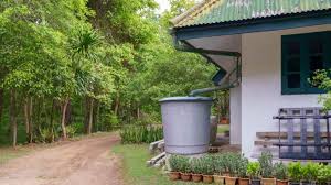Rainwater Revival: Government-Led Projects Making a Lasting Impact on Water Conservation