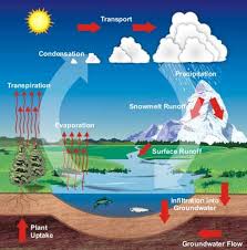 Saving Every Drop: The Role of Rainwater Harvesting in Water Conservation