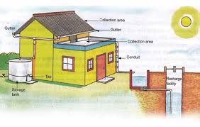 Tech-Driven Harvesting: How Smart Solutions Are Revolutionizing Rainwater Collection