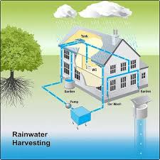 The Ultimate Guide to Rainwater Harvesting: Importance & Simple Methods