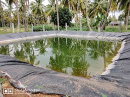 Tracking India’s Water Solutions: Rainwater Harvesting Projects Making Headlines