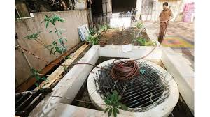 Urban Water Solutions: Government-Backed Rainwater Harvesting Projects in Cities