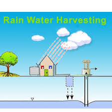  Water Conservation Made Easy with Rainwater Harvesting: Methods & Benefits